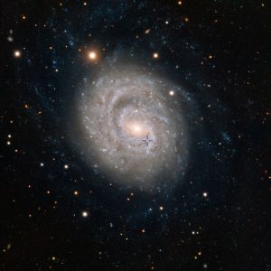 La supernova della galassia NGC 1637