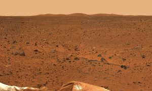 Una lucertola su Marte fotografata da Curiosity?