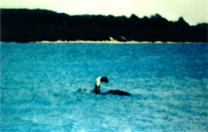 Il mistero del mostro del lago Champlain