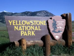 Sparizioni inspiegabili nel parco dello Yellowstone 